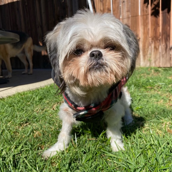 Meet your Posher, May - Picture 1 of 1